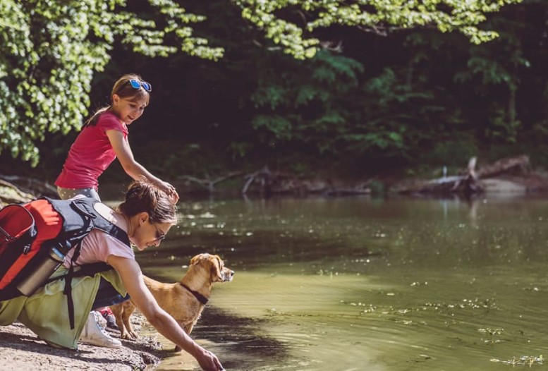Sommerurlaub mit der Familie © Shutterstock